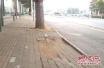 郑州一公交候车亭路面塌坑严重 - 新浪河南