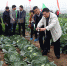 【图片新闻】2000余优良蔬菜品种郑州集中展示 - 农业厅