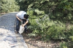 2016年6月17日,平顶山档案局志愿者在新城区祥云公园捡拾垃圾2.jpg - 档案局