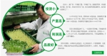 中农华丰有机芽苗菜公司加盟优势多更有竞争力 - 郑州新闻热线