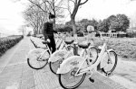 探访全省公共自行车运营现状 - 新浪河南