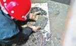 考古人员在泥水中进行挖掘 - 新浪河南