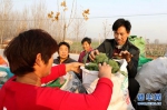 【图片新闻】安阳：西兰花丰收 农民收获忙 - 农业厅