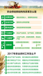2017中央一号文件解读（一）：农业供给侧结构性改革 怎么看怎么干 - 农业厅