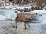 超罕见壮观的动物冰冻照，自然的威力不容小觑（图） - News.Zynews.Com