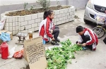 南阳小学生兄妹为救母街头卖菜 - 新浪河南