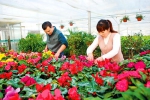 【图片新闻】花卉温室春意浓 - 农业厅