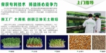 中农华丰生物科技长沙分公司的爽舌尖芽苗菜引领新食代 - 郑州新闻热线