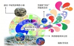 郑州“扎堆”开建主题公园 电影小镇今年投入运营 - 河南一百度