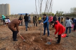 外国语学院开展党员志愿者义务植树活动 - 河南理工大学