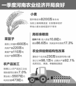 一季度河南省农业经济开局良好 运行平稳 - 人民政府