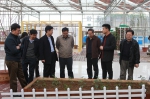 国家农业标准化第二调研组在河南调研 - 质量技术监督局