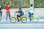 骑者“快”管者“痛” 郑州城区共享单车路在何方？ - 河南一百度
