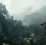 郑州一工业区大火 消防战士救援近30小时（组图） - 河南一百度