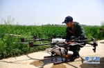 【图片新闻】无人机植保助力小麦“一喷三防” - 农业厅