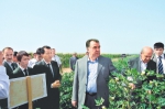 塔吉克斯坦总统拉赫蒙视察经研银海公司在塔的棉花科研示范田。资料图片 - 河南一百度