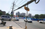 郑州街头电缆与行道树不分离 树疙瘩悬空吓坏市民 - 河南一百度