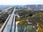 五年间的“奋斗史”：郑州“多”了117个人民公园 - 河南一百度