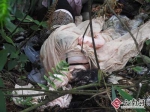 充气娃娃被误当“女尸” 警方出警后啼笑皆非 - 河南频道新闻