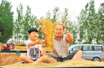 延津县优质小麦今年喜获丰收⑨6李建斌摄 - 新浪河南