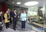 习近平同德国总理默克尔共同出席柏林动物园大熊猫馆开馆仪式 - 供销合作总社