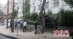 共享单车“爬”上树被消防队员安全“解救” - 河南频道新闻