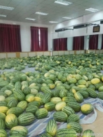 别人家的大学!郑州一高校买30吨西瓜给学生消暑 - 河南一百度
