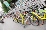 郑州共享单车暂停投放 就共享单车管理规范征求意见 - 河南频道新闻