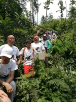 为爱行走，助力雷波，企业家健康跑俱乐部与百名企业家携手丛林穿 - 郑州新闻热线