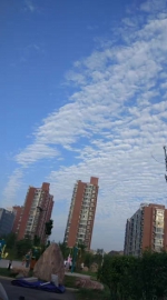 鱼鳞云刷爆朋友圈 被今早郑州的天美到！ - 河南一百度