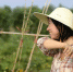 郑州女子30岁切换人生轨道 辞事业单位工作种菜 - 河南一百度