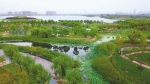 郑州市北湖湿地公园风景宜人 - 人民政府