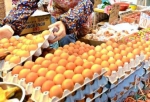 香港检出欧洲“毒鸡蛋”，官方：受污染鸡蛋全下架 - 河南频道新闻