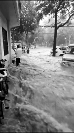大雨突袭郑州 他们被冲倒后抱树求救 - 河南一百度