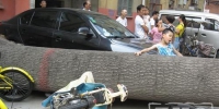 郑州一棵直径1米的泡桐突然倒下 5辆轿车遭殃 - 新浪河南