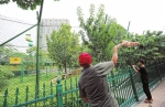 近距离体验 看郑州市动物园饲养员怎么养虎 - 河南一百度