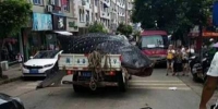 货车运鲸鲨遭拒 现场用锯子切割售卖 场面十分血腥残忍不忍直视 - 河南频道新闻