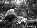 河南籍警卫员73年前在云南施甸牺牲 守墓者希望找到他的家人 - 河南一百度