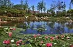 郑州七大唯美湿地公园,你知道几个?没事儿一起去看看 - 河南一百度