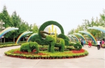 郑州植物园4万盆花草添新景 十一长假，有空来看看 - 河南一百度