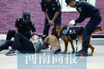 郑州2000名民警进行大演练 各种“看家本领” 一次看个够 - 河南一百度