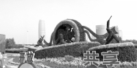 园博会开幕郑州街头多了20座立体花坛 能否常驻郑州 - 河南一百度