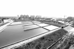 自来水公司员工：五年时间 郑州供水管网长度延长1400多公里 - 河南一百度