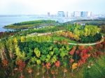 郑州北龙湖湿地公园粉红色“草原”刷爆很朋友圈 - 河南一百度