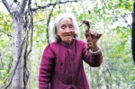 84岁新密老太每天晨起练虎扑几百下，上山采草药健步如飞 - 河南一百度