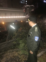 郑州昨晚大风刮倒大树 砸中路边洒水车 - 河南一百度