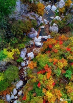美翻天！深秋季节的河洛大地色彩斑斓 - 河南一百度