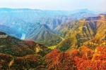 中国100家最佳赏红叶景区出炉 看看河南哪些景区上榜 - 河南一百度
