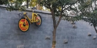 共享单车飞上郑州三米高的"墙面" 成一人专车 - 河南一百度