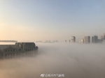 郑州大雾10多车连环追尾 机场高速封闭 - 河南一百度